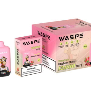 WASPE 12000 PUFFS Digital Box 0% 2% 3% 5% Nicotine Disposable Vape Wholesale - JumpVape - 12